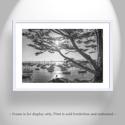 Monterey Bay Sailboat Yacht Harbor Art Print in Black and White