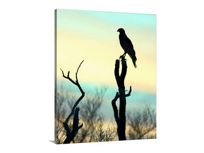 Desert Hawk Sunset Wall Art – Red Tail Hawk Silhouette Art Print