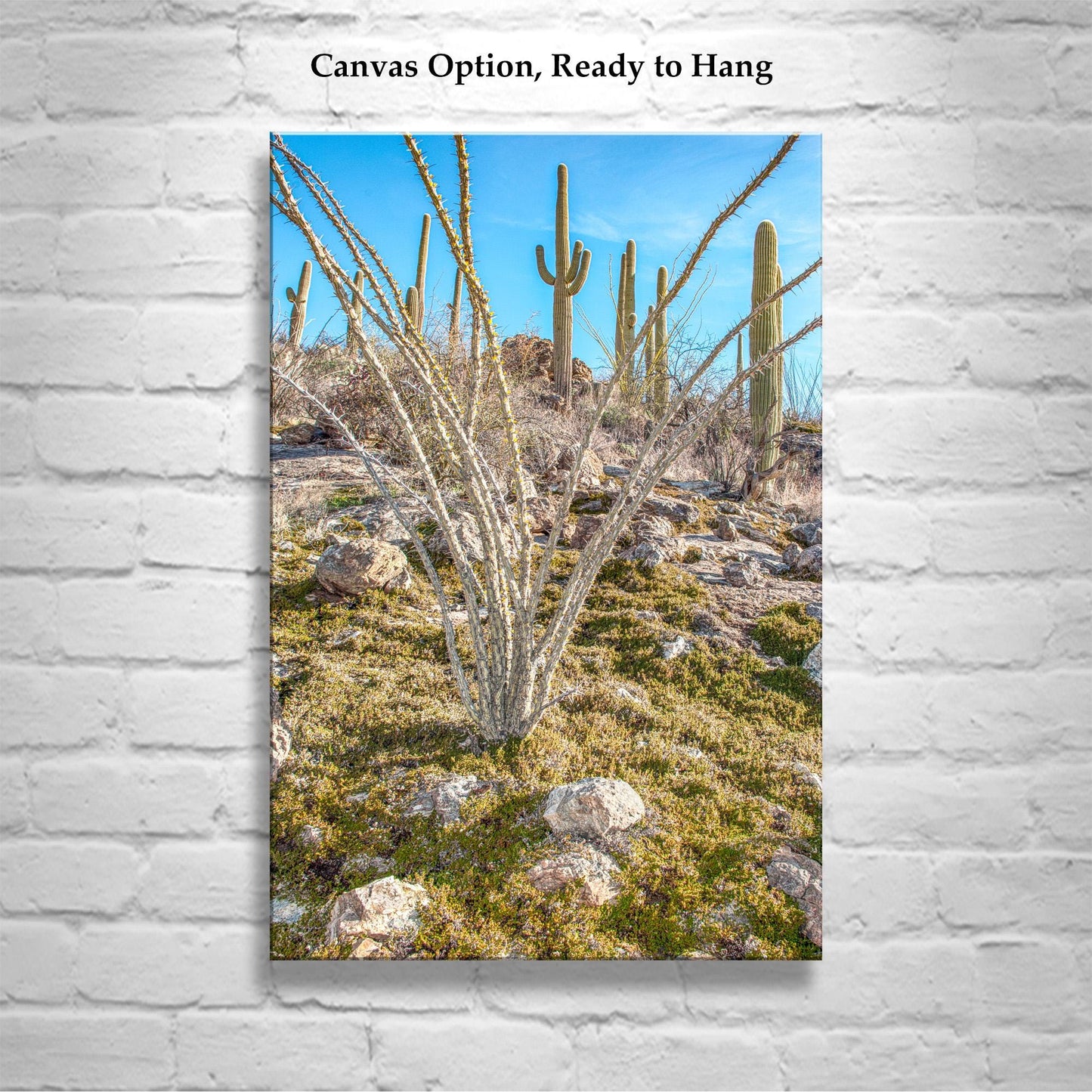Ocotillo and Saguaro Cactus Landscape in Spring | Arizona Desert Art