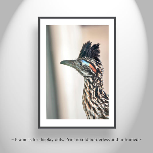Roadrunner Bird Art Print | Arizona Desert Wildlife Print