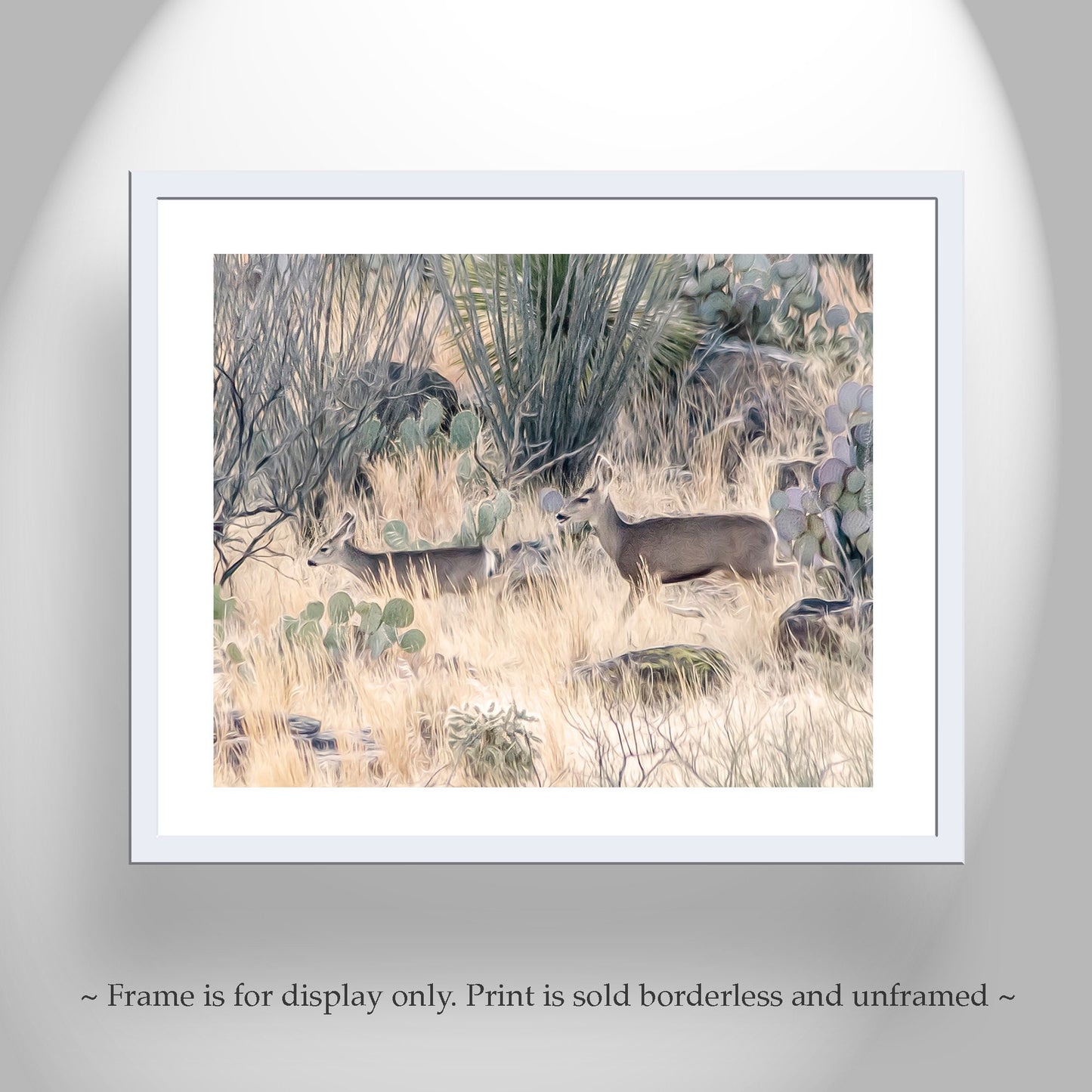 Southwest Ocotillo and Deer Art Print – Tucson Wildlife Decor