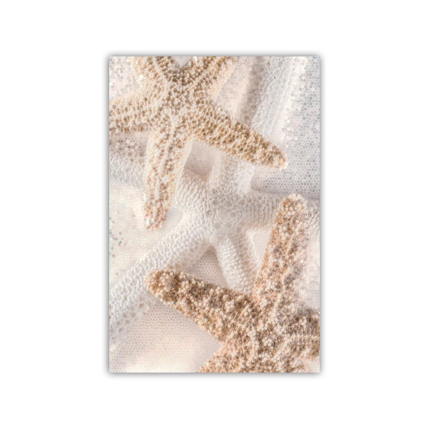 Starfish Seashells Bathroom Wall Art as Gift for Home