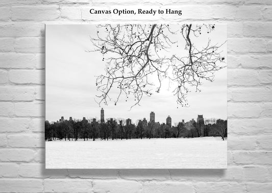 Central Park Winter Black and White Print | NYC Snow Scene Wall Art