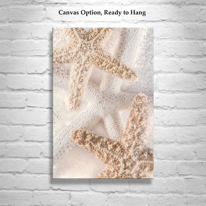 Starfish Seashells Bathroom Wall Art as Gift for Home