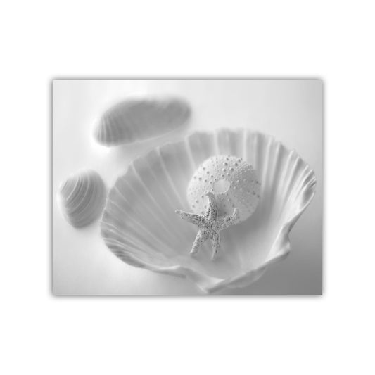 Minimalist Seashell and Starfish Art – Coastal Wall Print for Bath