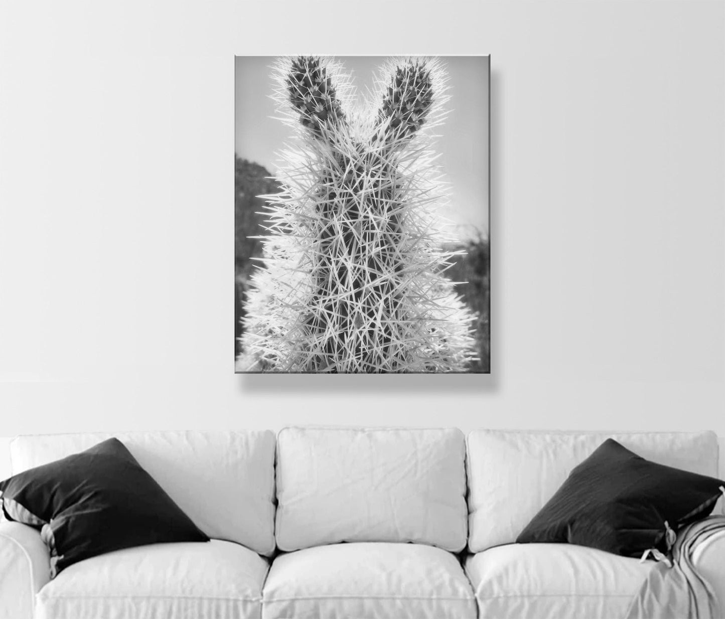 Tucson Arizona Cholla Cactus Art – Fine Art Southwestern Desert Art