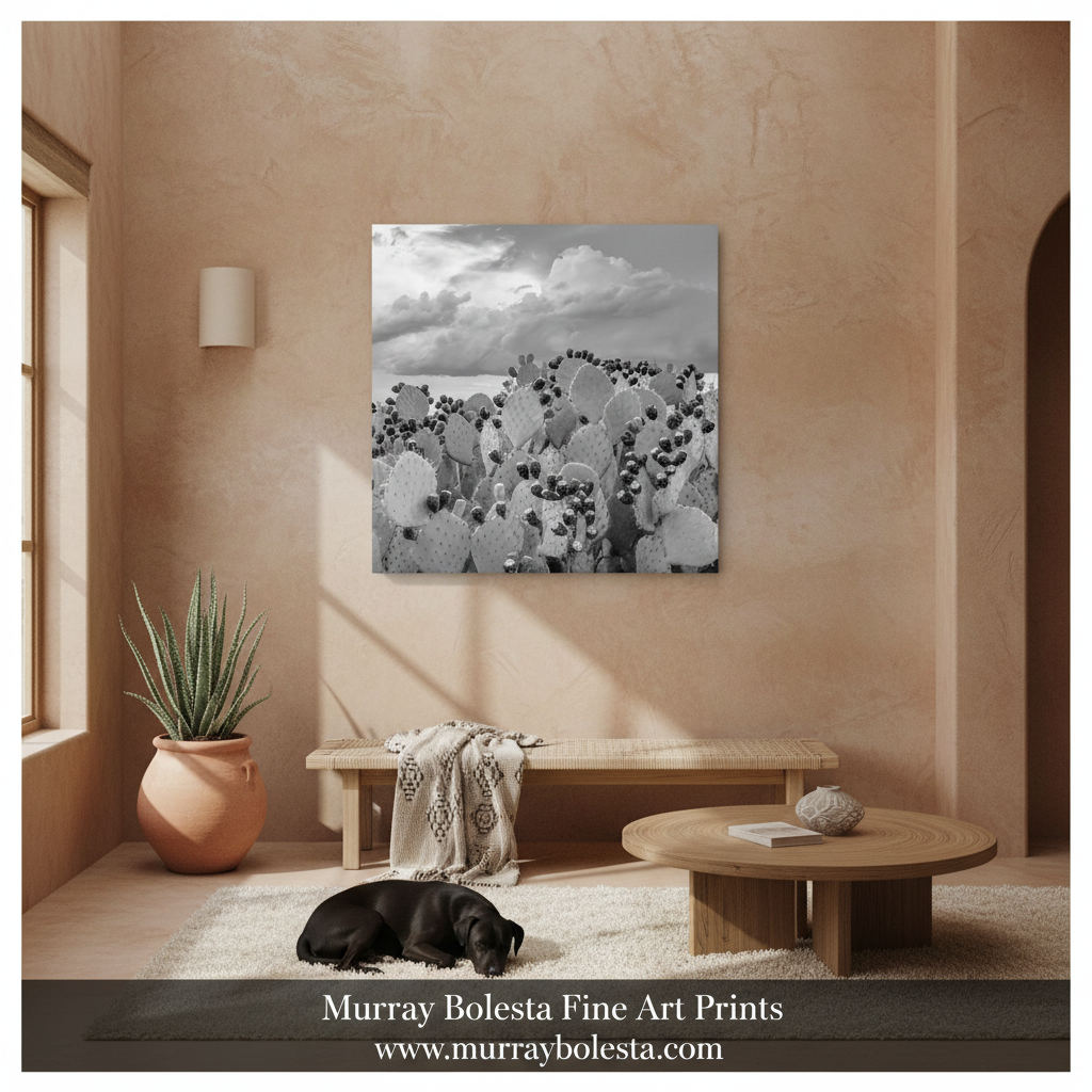 Cactus Art Print - Arizona Prickly Pear Black and White Desert Photography