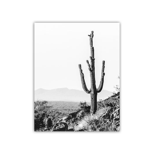 Cactus Picture Print in Black and White with Arizona Desert Landscape