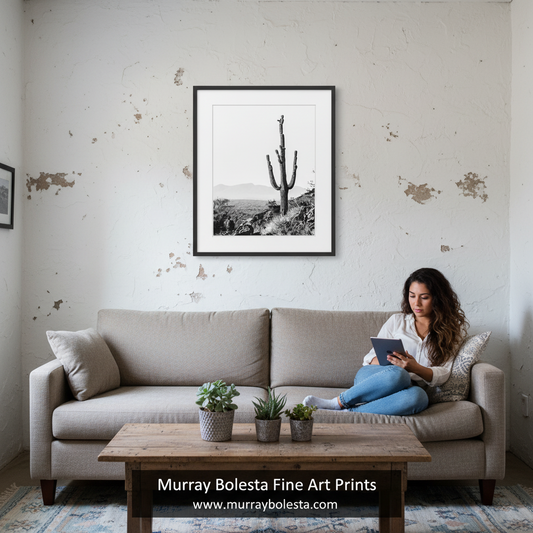 Minimalist Cactus Picture in Black & White | Arizona Desert Art