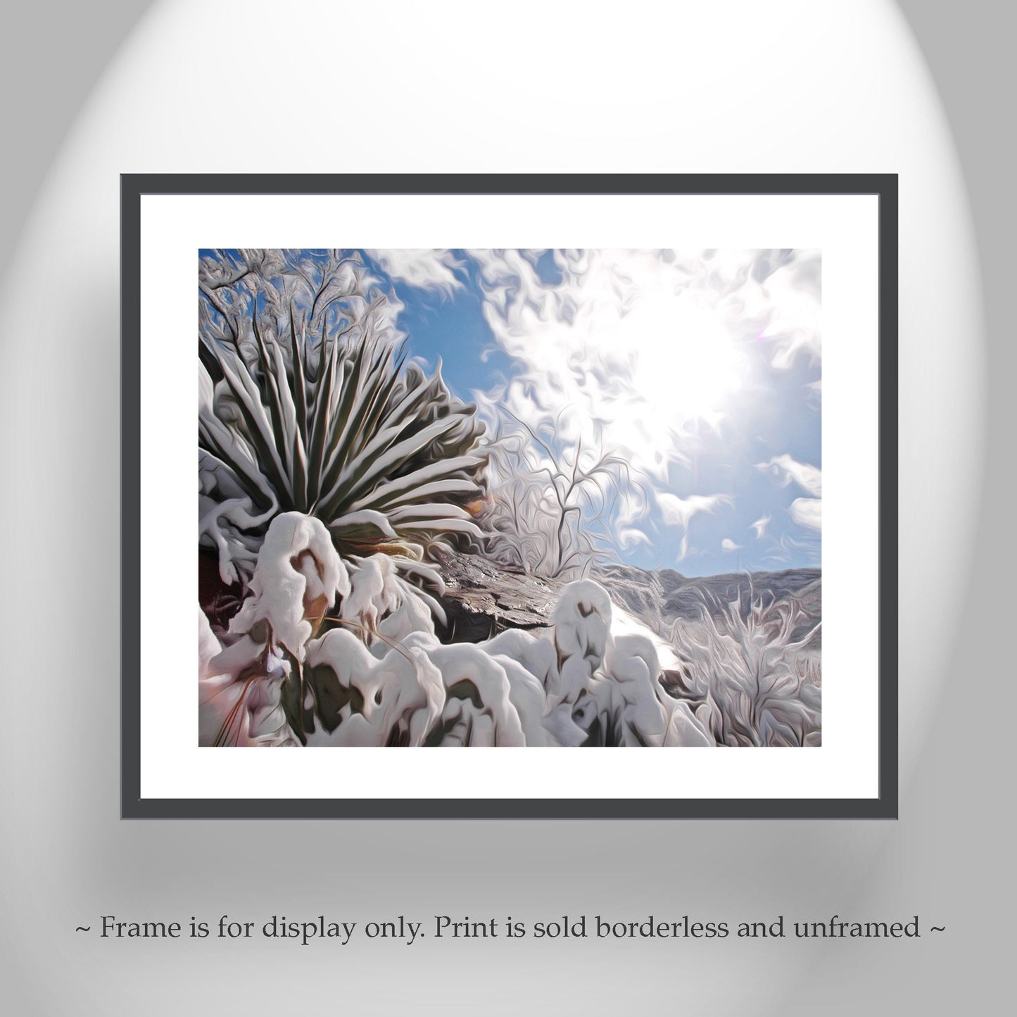 Desert Snow Canvas Art with Agave Plant in Arizona Winter