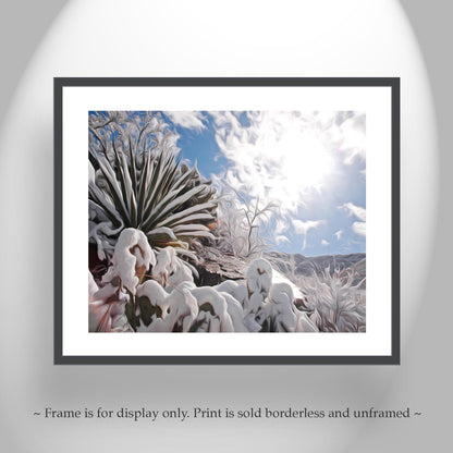 Desert Snow Canvas Art with Agave Plant in Arizona Winter