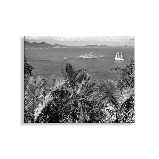 Black and White Costa Rica Art as Tropical Themed Wall Print