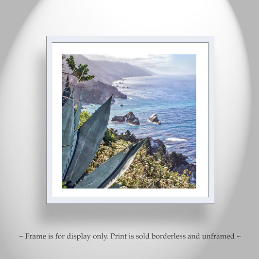 Big Sur Agave Photography Print at California Coast as Home Decor