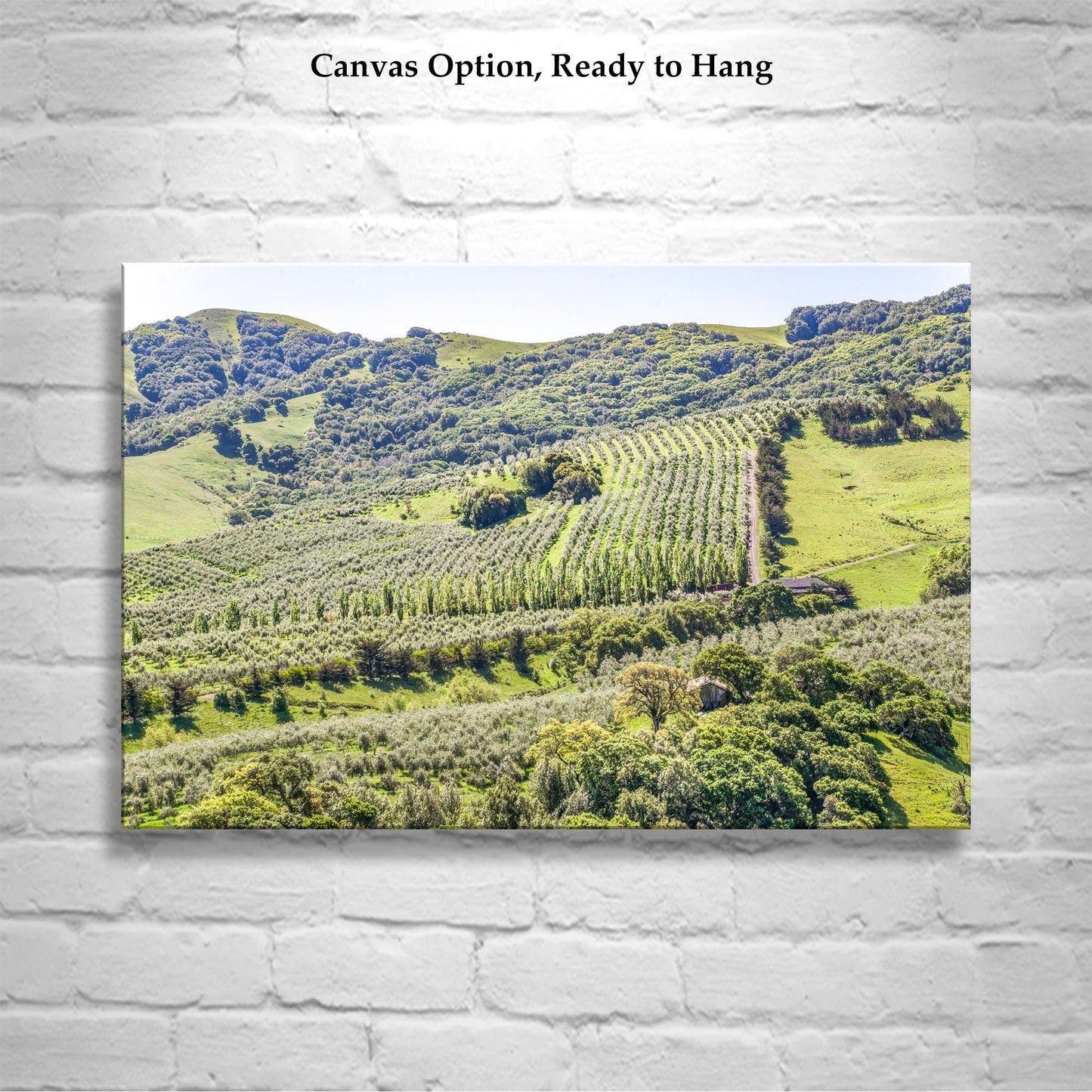 Napa Valley Vineyard Print – Rustic California Wine Country Decor