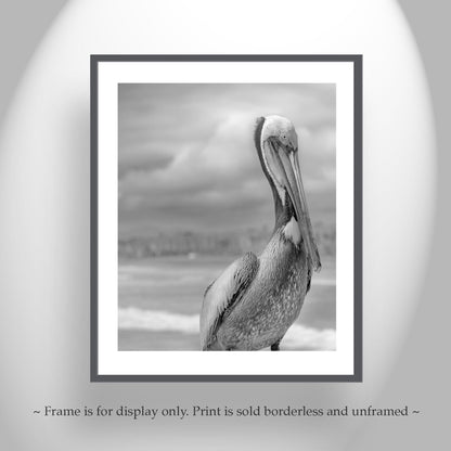 Pelican Art in Black and White | Sea Bird Photography at Oceanside Pier, San Diego California