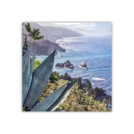 Big Sur Agave Photography Print at California Coast as Home Decor