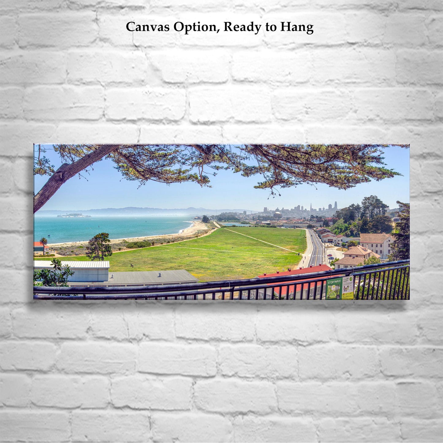 Crissy Field Panoramic Wall Art Print with Monterey Cypress Tree