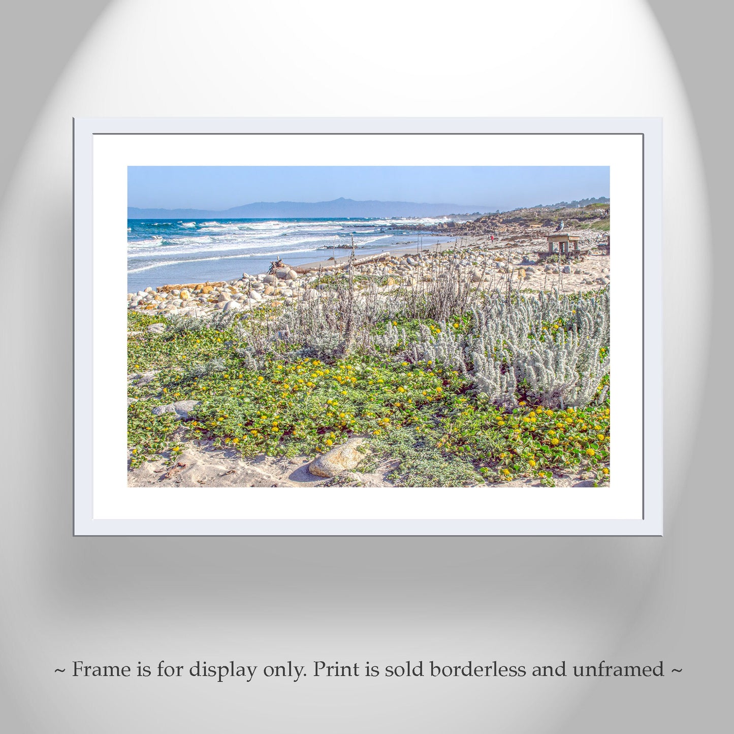 Pacific Grove Beach Art Print Set – Monterey Peninsula Wall Decor