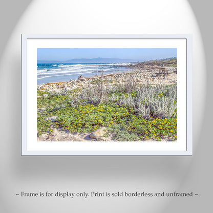 Pacific Grove Beach Art Print Set – Monterey Peninsula Wall Decor