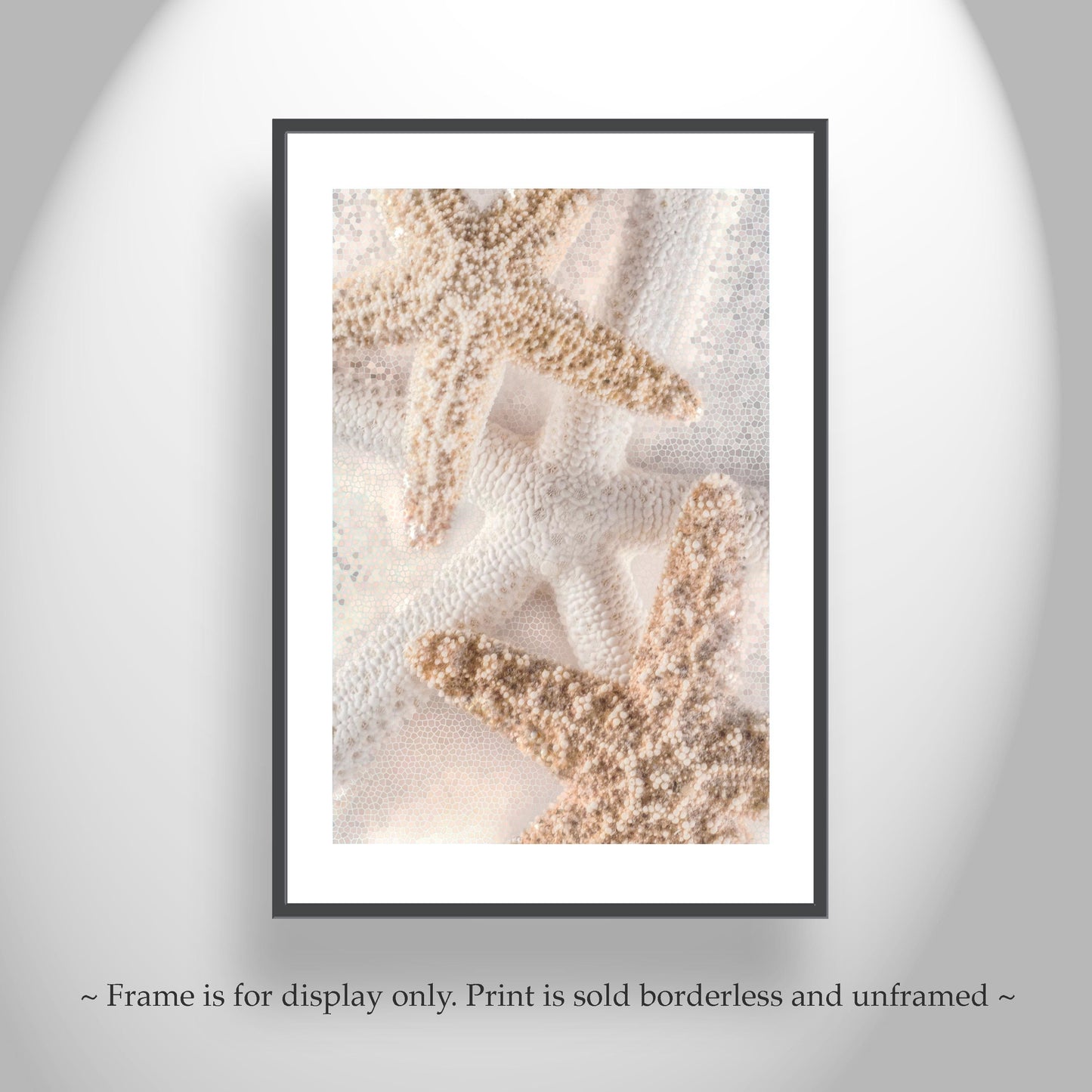 Starfish Seashells Bathroom Wall Art as Gift for Home