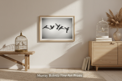 Black & White Hummingbird in Flight Art Print | Bird Wall Decor