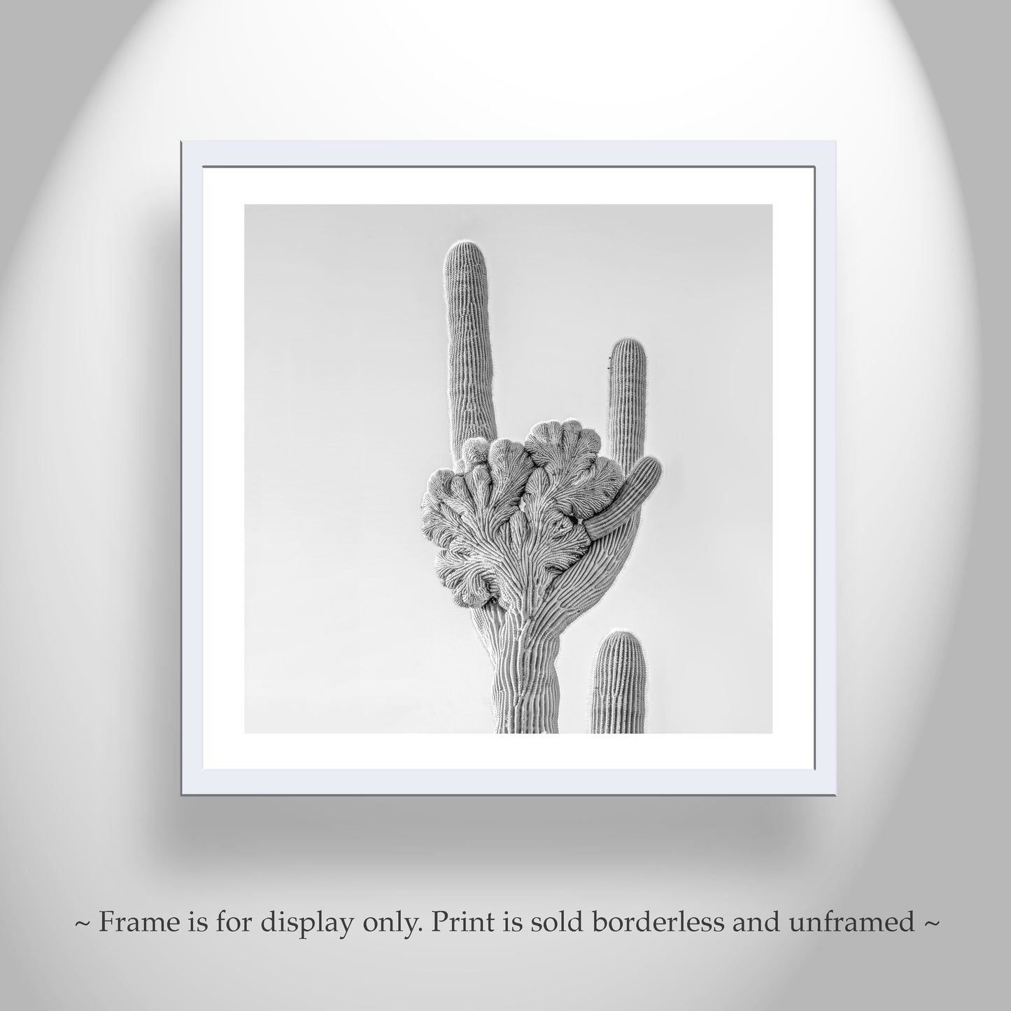 Crested Saguaro Cactus Black and White Art Print in Arizona Desert