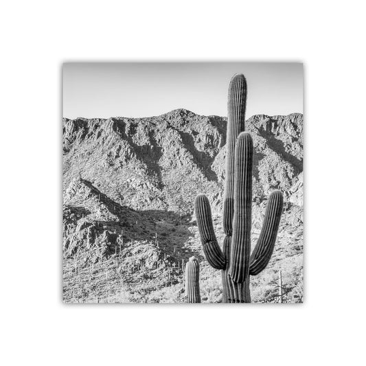 Square Black and White Desert Landscape Cactus Wall Decor