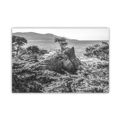 Lone Cypress Carmel by the Sea Art at Pebble Beach California