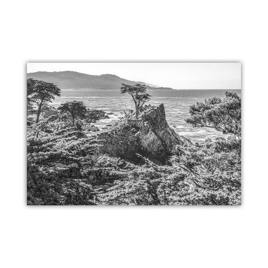 Lone Cypress Art Print at Pebble Beach California in Black & White