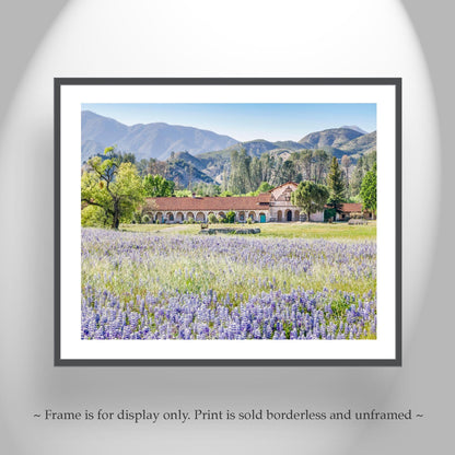 Lompoc Art at Mission San Antonio de Padua | Spring California Wildflowers