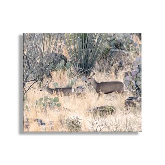 Southwest Ocotillo and Deer Art Print – Tucson Wildlife Decor
