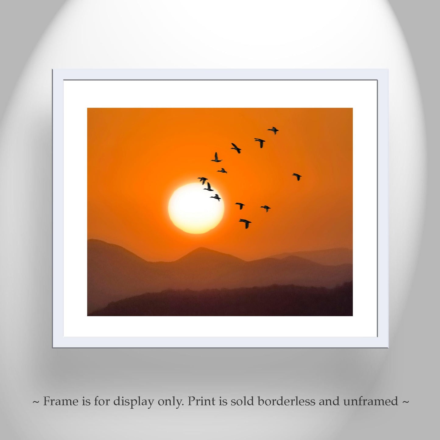 Flying Birds at Sunset – Arizona Desert Landscape Fine Art Print
