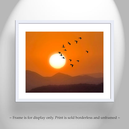 Flying Birds at Sunset – Arizona Desert Landscape Fine Art Print