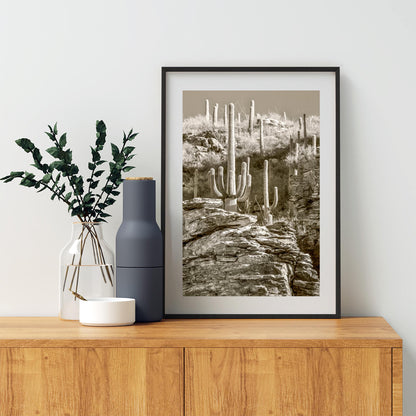 Tucson Catalina Mountains and Saguaro Cactus Wall Decor in Sepia
