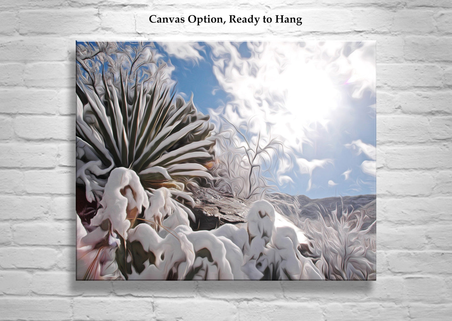 Desert Snow Canvas Art with Agave Plant in Arizona Winter