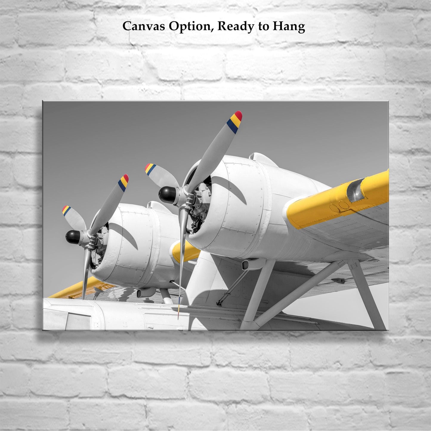 Pan Am Airplane Art with Vintage PBY Flying Boat | Gift for Pilot