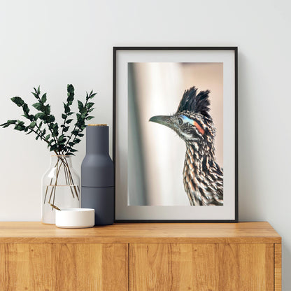 Roadrunner Bird Art Print | Arizona Desert Wildlife Print