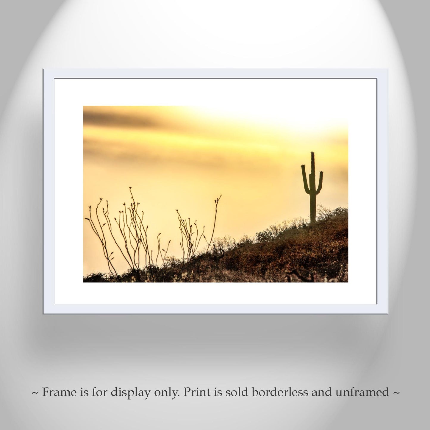 Tohono O'odham Nation Sunset Cactus Art – Tucson Desert Print