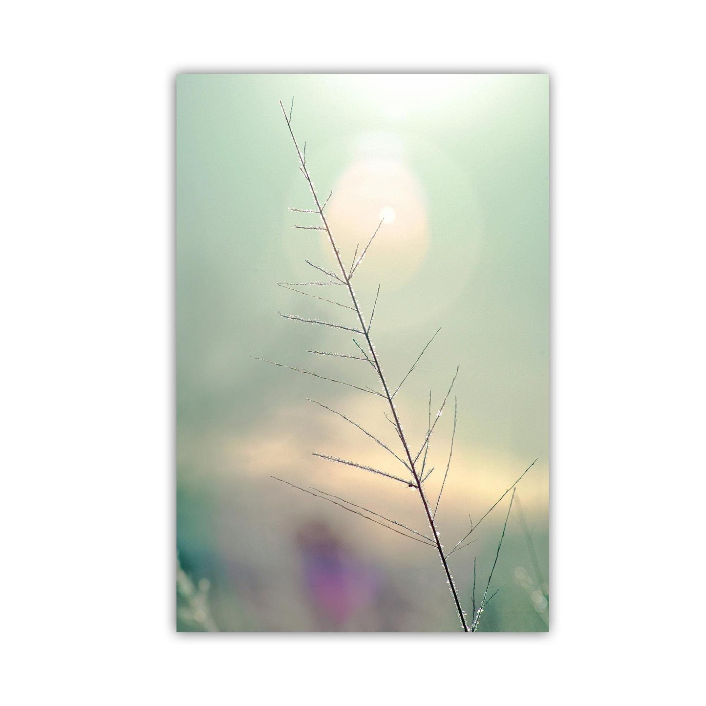 Minimalist Nature Art Print | Winter Frost on Grass | Serene Wall Decor