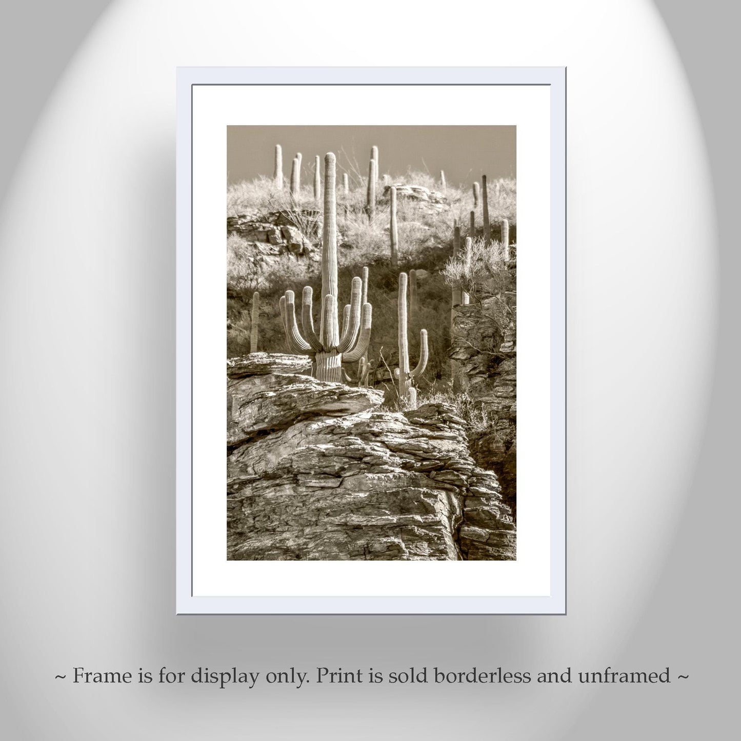 Tucson Catalina Mountains and Saguaro Cactus Wall Decor in Sepia