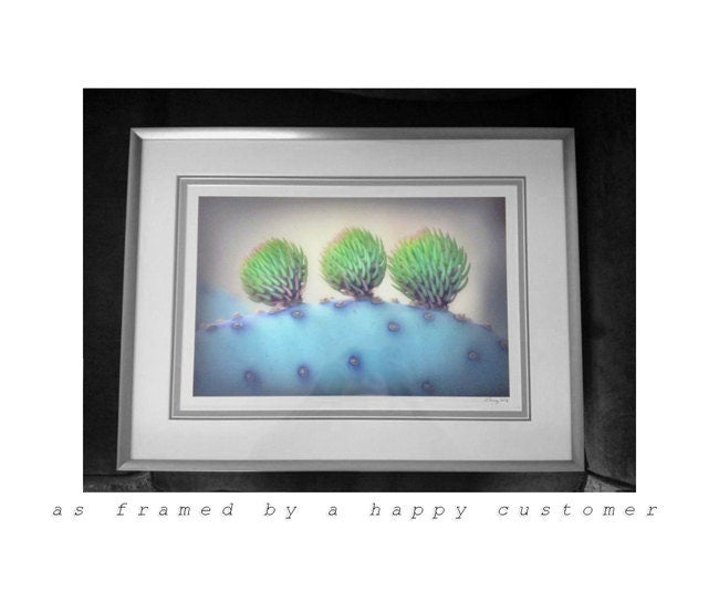 Purple Santa Rita Prickly Pear Cactus Art Print by Murray Bolesta