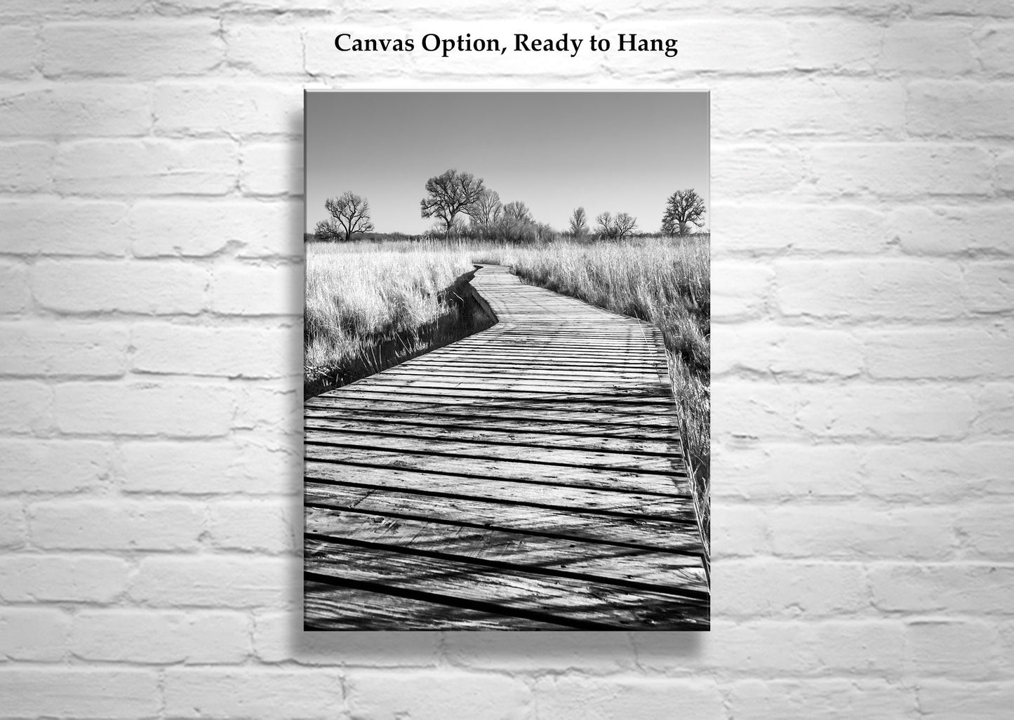 Surreal Black & White Boardwalk Art Print | Arivaca Cienega Arizona