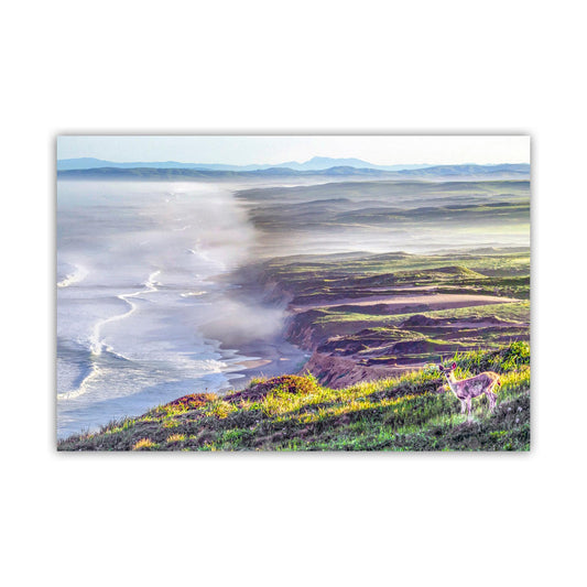Point Reyes Print with Marin County Beach and Wild Deer