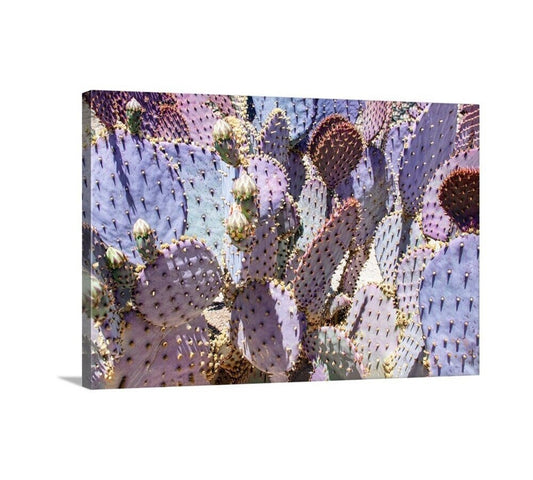 Purple Prickly Pear Cactus Art – Unique Desert Art for Home