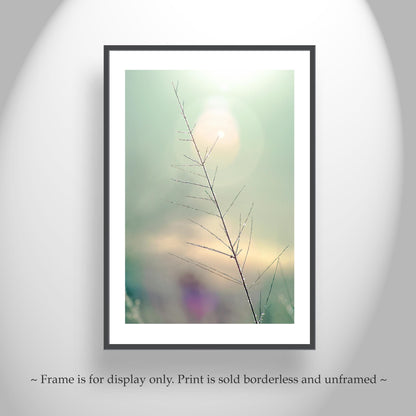 Minimalist Nature Art Print | Winter Frost on Grass | Serene Wall Decor