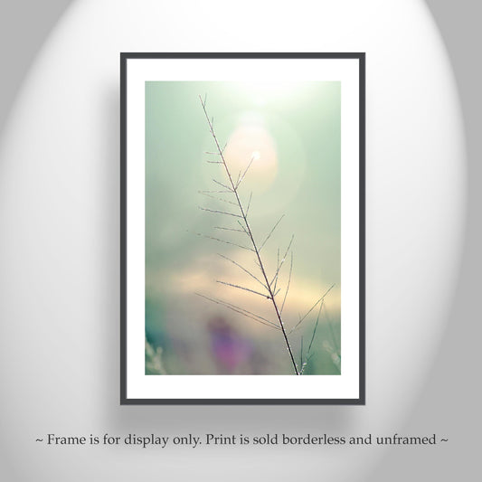 Minimalist Nature Art Print | Winter Frost on Grass | Serene Wall Decor