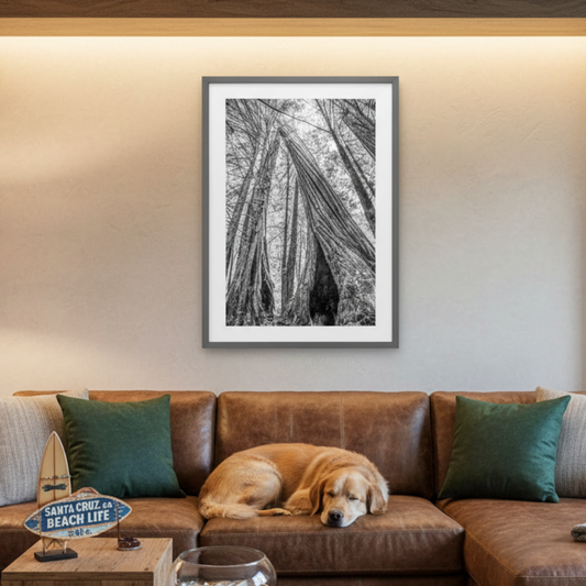 A framed black and white art print of tree trunks hanging on a beige wall above a brown leather sectional sofa in a styled living room. A golden retriever is lying on the couch, and a watermark at the bottom reads 'Murray Bolesta Fine Art Prints'.