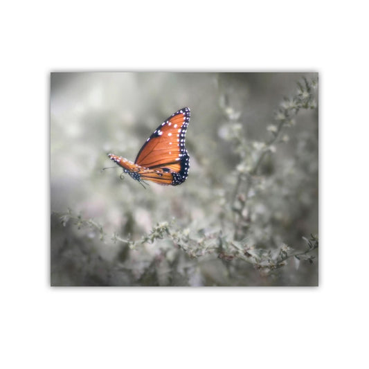 Queen Butterfly in Flight – Dreamy Nature Wall Art
