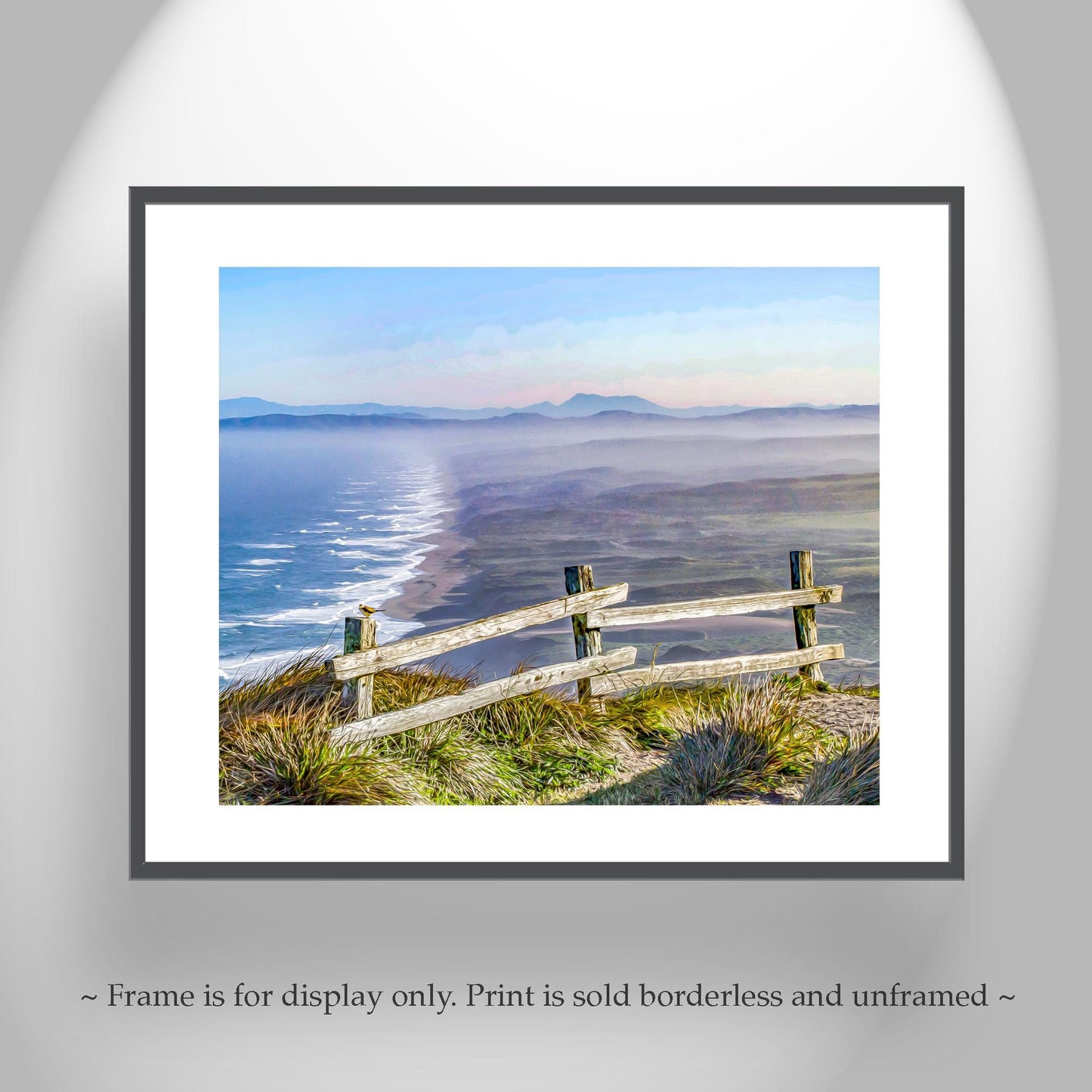 Point Reyes National Seashore California Coast Art Print with Little Bird