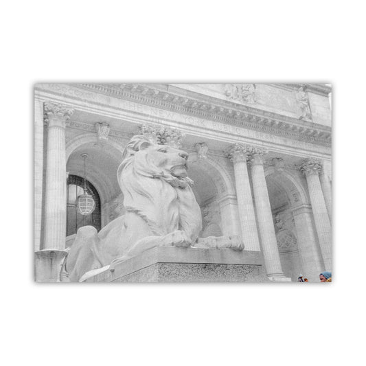 New York Public Library Lion Fine Art Print in Black and White